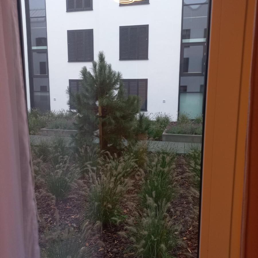 Apartament Orlando W Porto Leba 350M Od Morza Dış mekan fotoğraf